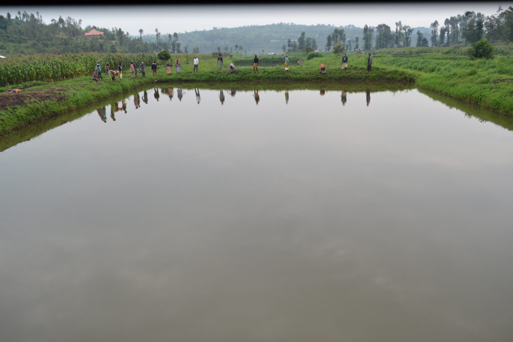 La pisciculture : Un autre pas vers l’éradication de la pauvreté pour les  bénéficiaires du BSD